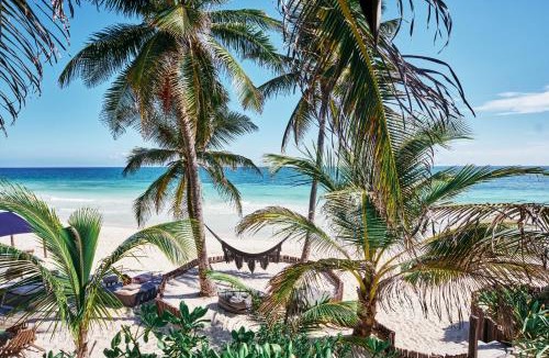 Zona Hotelera Hotel | Libelula Tulum Beachfront Hotel