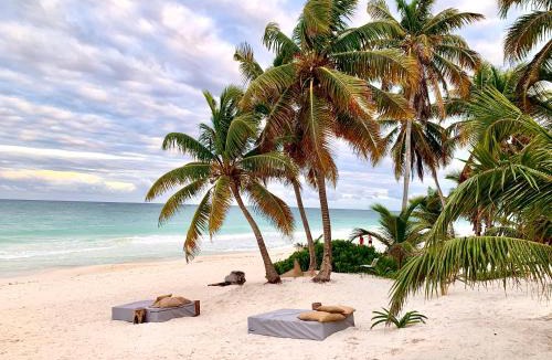 Zona Hotelera Hotel | Libelula Tulum Beachfront Hotel