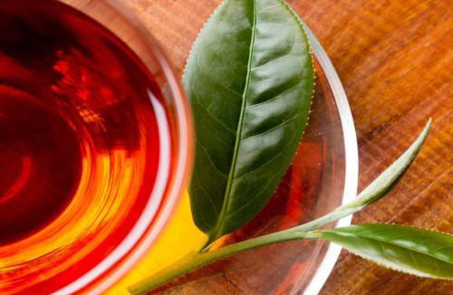 Ruisui House | Lin Tea B&B