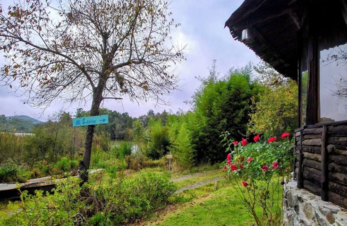 Huasca De Ocampo Cabin | Lirio: Private Garden, Arcade & Lake View, 2km from Huasca's downtown.