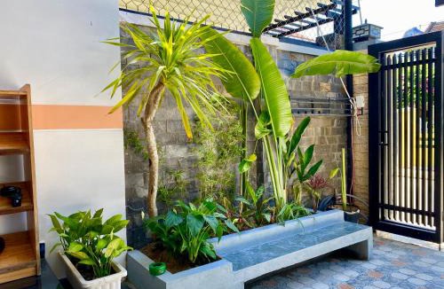 Minh An House | Little Boss Homestay
