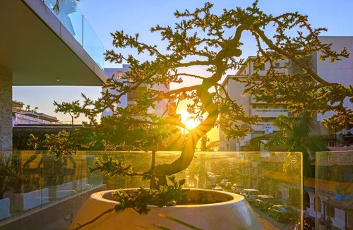 Emiliano Zapata Condo | Loft 268 "Beautiful Modern Condominium" in Romantic Zone, Puerto Vallarta.