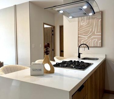 Zona Minerva Apartment | Loft Americana Chapultepec Alberca Wifi AC