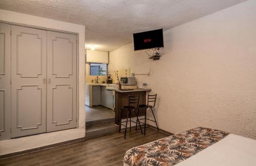 Chapalita Apartment | Loft Privado con Cocina, Vive Chapalita 3