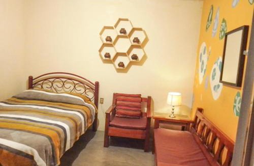 Jalatlaco Hostel | Los Nardos Hostel -pet friendly-