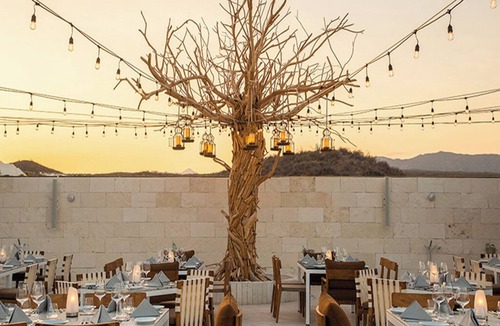 Cabo San Lucas Resort | Luxurious Resort on the beach of the Sea of Cortez (UNESCO WHS) in Los Cabos.