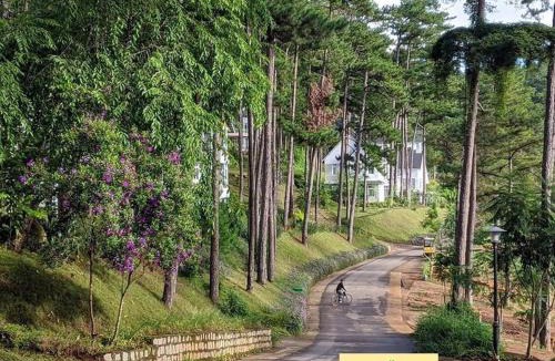 Da Lat Villa | Luxury villas Tuyen lam lake view