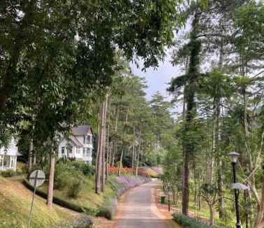 Da Lat Villa | Luxury villas Tuyen lam lake view