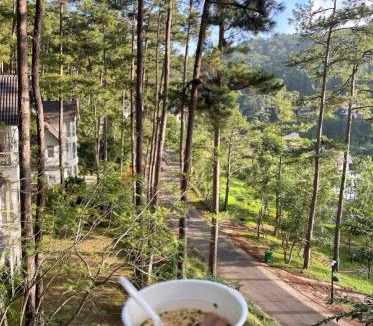 Da Lat Villa | Luxury villas Tuyen lam lake view