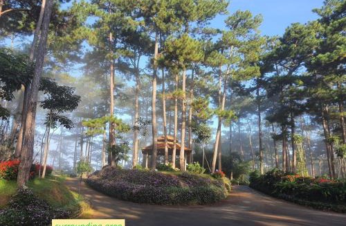 Da Lat Villa | Luxury villas Tuyen lam lake view