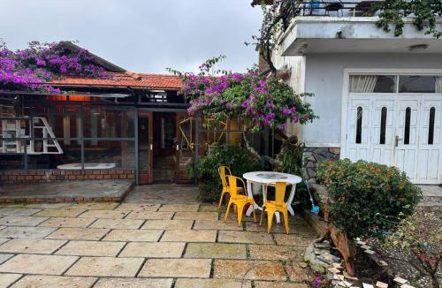 Da Lat House | Mây inn' Cầu Đất - Homestay