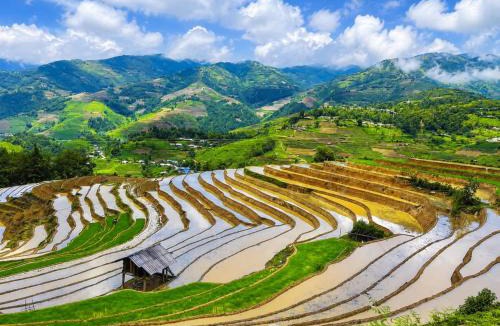 Mu Cang Chai Hotel | Mùa Vàng Homestay Mù Cang Chải