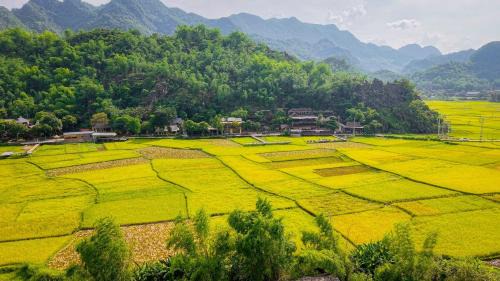 Mai Chau Hotel | Mai Chau Mountain Delight