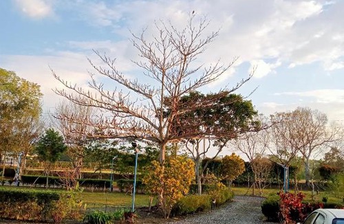 Guangfu House | Maple Feeling Vacation Farm