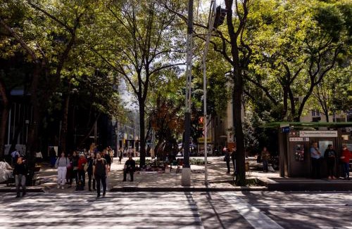 Zona Rosa Apartment | Master Suite a few steps Reforma & US Embassy