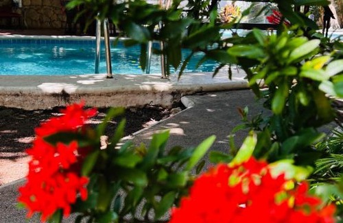 Gonzalo Guerrero Hotel | MAYAN ART Hotel Boutique - 10Th Ave