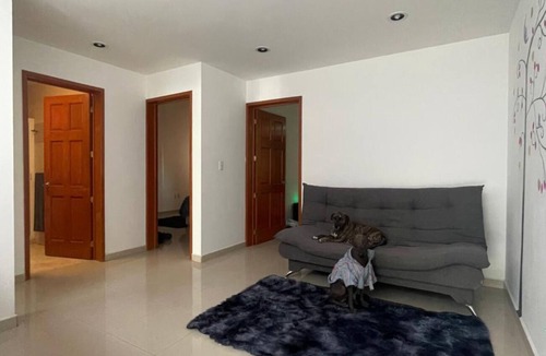 Queretaro Apartment | MillenniumIII - Bed/Queen - Shared Bathroom and/or SofaBed - PET Friendly