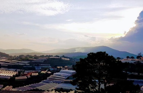 Da Lat Apartment | Minh Khôi' Homestay
