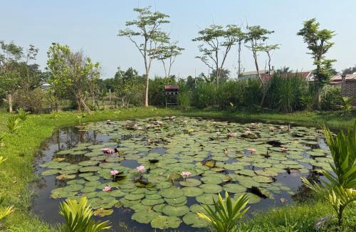 Dien Bien Cabin | Misty Garden Homestay Retreat