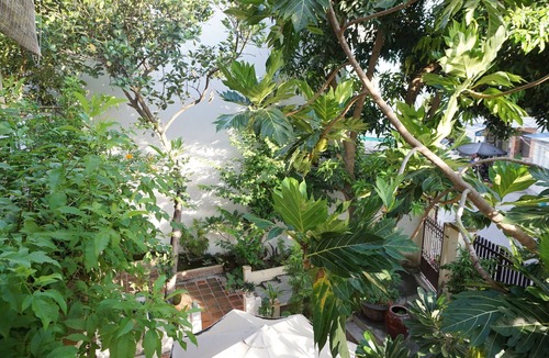 Tran Phu Beach House | Moon house tropical garden - West side