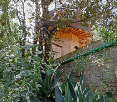 San Jose del Pacifico Hotel | Mushroom-shaped cabins