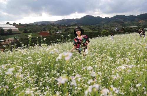 Da Lat House | My Anh Guest House