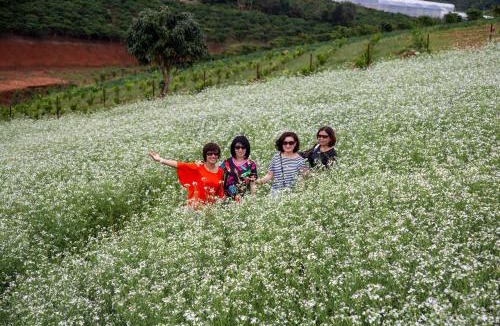 Da Lat House | My Anh Guest House