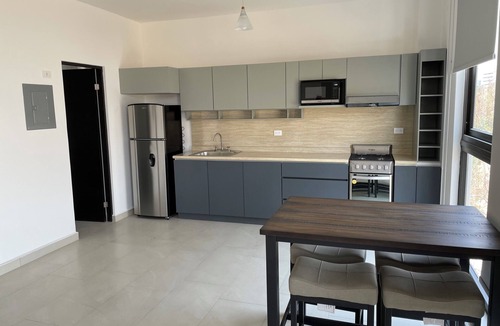 Monterrey Centro Apartment | MYO boutique loft with parking/Old Quarter