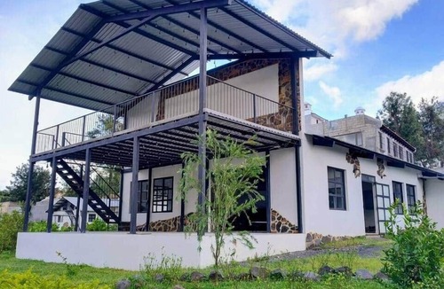 Ciudad Vieja Other | Nectar Organic Farmstay Coworking/Blueberry Cabin
