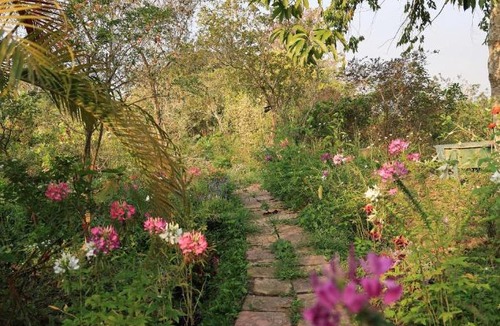 Sa Dec Bed & Breakfast | Neverland de Papillons