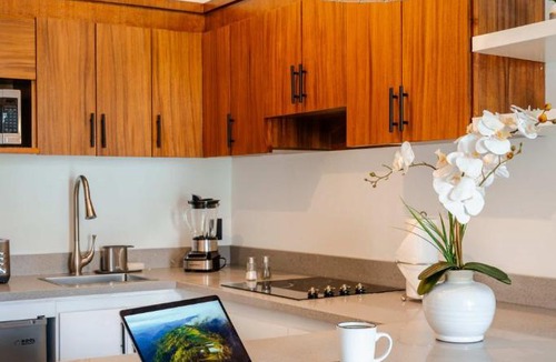Centro Apartment | NEW Listing Walk to Downtown Cabo King Bed