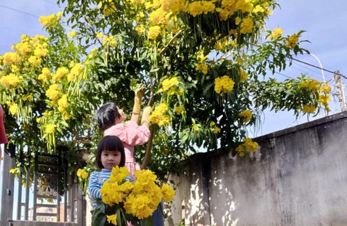 Da Lat House | Ngôi nhà Venno