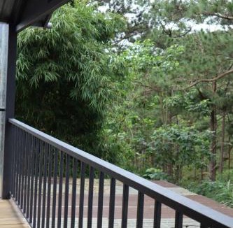 Da Lat House | Nhà Bên Rừng Thông 3 Phòng Ngủ Đà Lạt