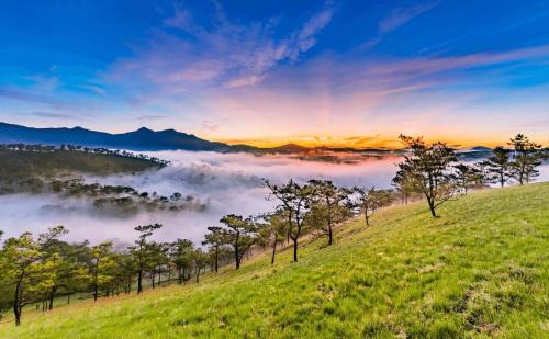 Da Lat Hotel | nhà nghỉ TAM AN