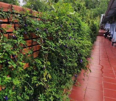 Ong Lang Hotel | Nhà Nghỉ Vườn Oải Hương LAVENDER GARDEN GUEST HOUSE