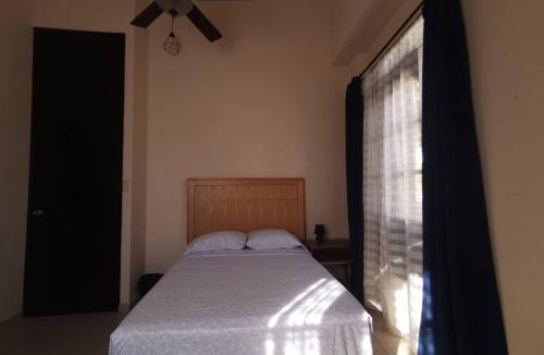 Zona Paseo Montejo Hotel | Nido Colibrí - Private Rooms and hostel Dorms in Remate de Paseo Montejo