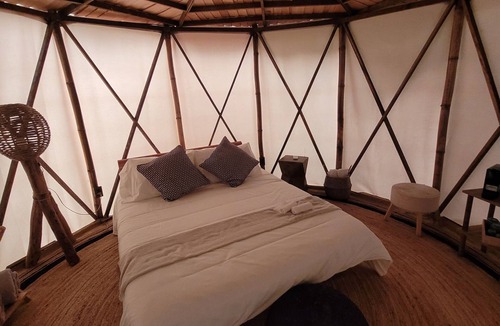 Tuxcueca House | Nido Ecoluxury Treehouse - Casa de Arbol