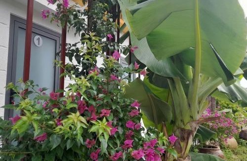 Ninh Hai Hotel | NT Bell Homestay