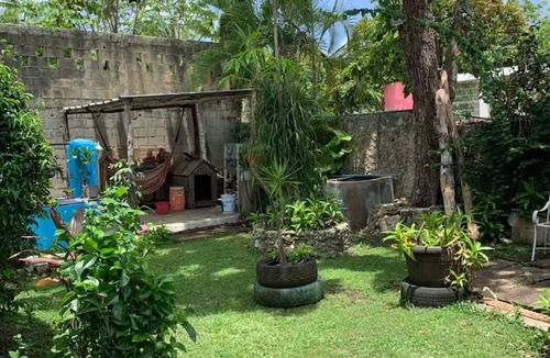 Cozumel Cabin | Oasis Garden Cottage: Starlink, swimming pool and free bicycles