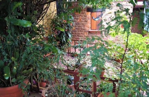 Oaxaca House | Oaxaca Delights