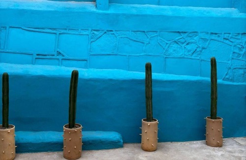 Luis Jimenez Figueroa Apartment | Oaxaca Full Apartment Casa Cruz Just a few Minutes From Santo Domingo de Guzman