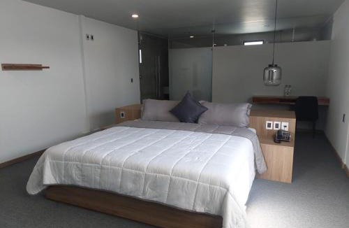 Reforma Hotel | Oaxaca Inn Reforma