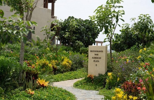 Ixtapa - Zihuatanejo Apartment | Oceanfront living with terrace I Long stays welcome