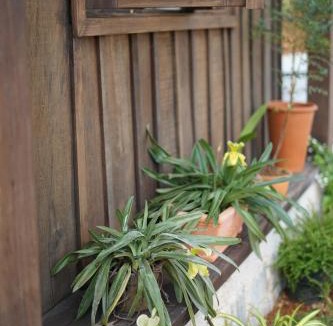 Bao Loc Apartment | Olive Cottage Bao Loc