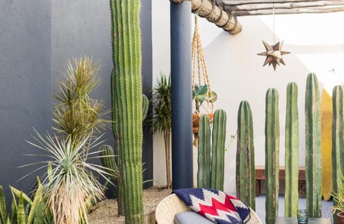 Downtown San Jose del Cabo House | Outsite Los Cabos - Entire 4-Bedroom Home