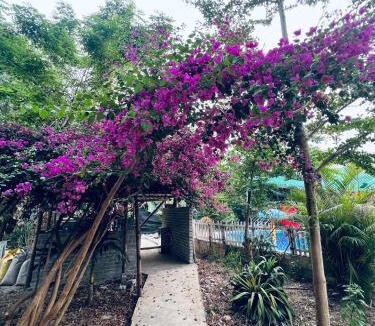 Dien Bien Bed & Breakfast | Pák Pe Homestay