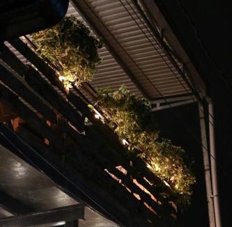 Phuong House | P&B Homestay - Đà Lạt