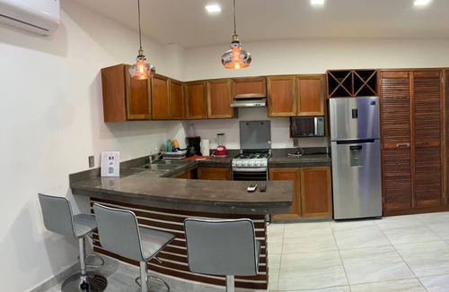 R Apartment | PALMAS DE CHAHUE 4 (474 SF)