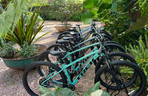 Valle de Bravo Bed & Breakfast | Pandurata Bed and Breakfast