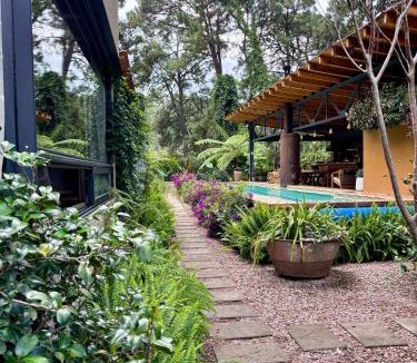 Valle de Bravo Bed & Breakfast | Pandurata Bed and Breakfast